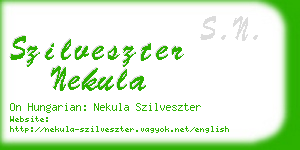 szilveszter nekula business card